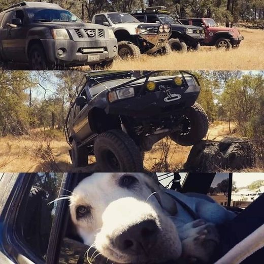 Head-to-Head! Comparing 2nd Gen T4R to 3rd Gen Off-Road!